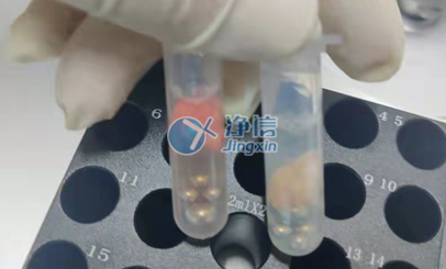 小型行星球磨机助力浙江工业大学完成小鼠组织研磨实验