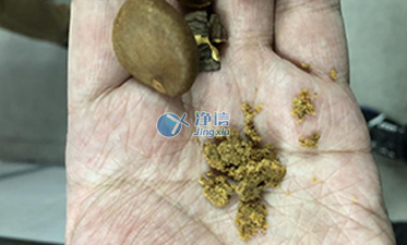 行星式球磨机解决山茶籽的研磨难题实验 | 上海净信