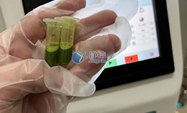 上海净信全自动样品快速研磨仪对柑橘叶脉研磨实验
