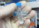 研磨小鼠血管实验：三维冷冻研磨仪设备